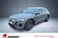 Audi Q8 e-tron 50 quattro PANO HUD AHK Matrix 19