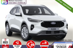 Ford Kuga Aut Titanium ACC WinterP TotW Kam 5J-Gar