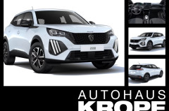 Peugeot 2008 Style Elektro **Gewerbehammer**