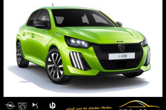 Peugeot 208 Style Elektro **Gewerbehammer**