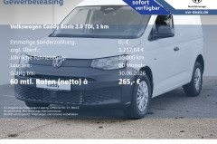 Volkswagen Caddy Cargo 2.0 TDI Klima AHK Allwetter DAB