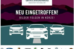 Volkswagen T-Roc 1.5 TSI DSG Style / SOFORT VERFÜGBAR !