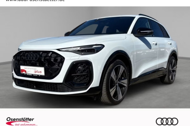 Audi Q5 2,0 TDI qu Matrix Kamera Memory HuD B&O