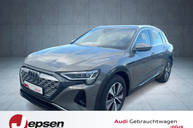 Audi Q8 e-tron advanced 50 qu. PANO HUD AHK Matrix 19