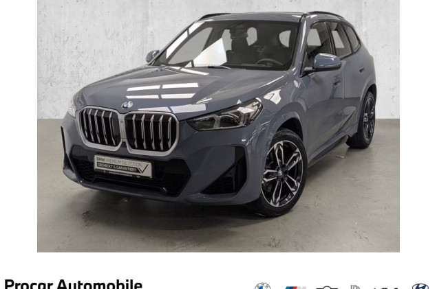 BMW X1 xDrive23i M Sport AHK DA Prof 360° HuD H/K