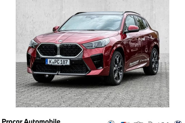 BMW X2 sDrive20i MSport + H/K + Pano + DApl + 20