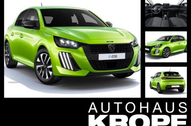Peugeot 208 Style Elektro **Gewerbehammer**