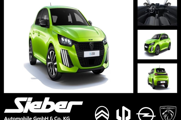Peugeot 208 Style Elektro **Gewerbehammer**
