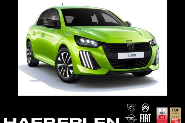 Peugeot 208 Style Elektro **Gewerbehammer**